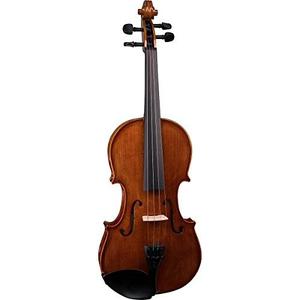 Stentor  Violin
