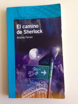 El camino de Sherlock. Andrea Elena Ferrari Hardoy.