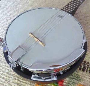 Banjo Blanton 6 Cuerdas / Impecable, Con Parche Remo Y Funda