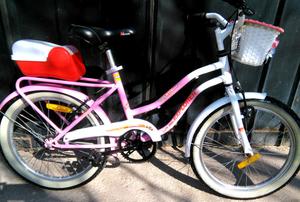 Bicicleta nena con accesorios
