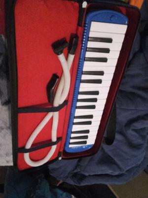 Melodico, todos los accesorios, seminueva un solo uso.