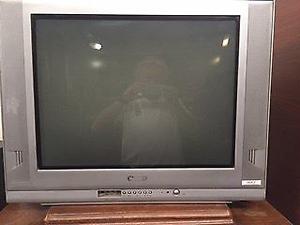 vendo Televisor 29" perfectamente funcionante