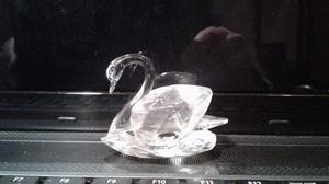 CISNE cristal SWAROVSKI