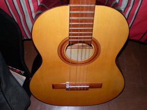 Guitarra Criolla Estudio