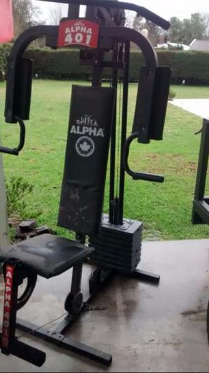 Multigimnasio alpha 401