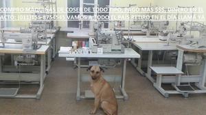 COMPRAMOS MÁQUINAS DE COSER DE TODO TIPO Y MARCAS