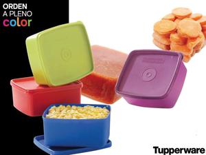 Tupperware - Practifreeze 500 ml