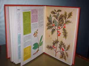 3 tomos de plantas que curan enciclopedia ediciones