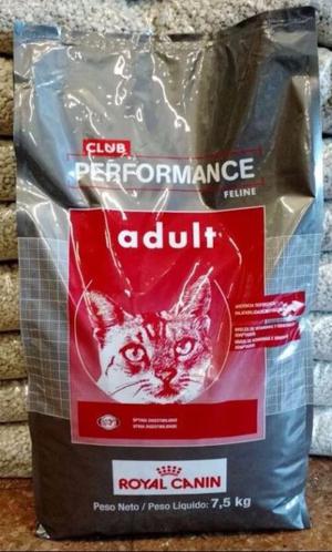 Royal Canin Club Performance Feline Adulto 7.5 Kg
