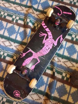 Skate Iguana Rosa