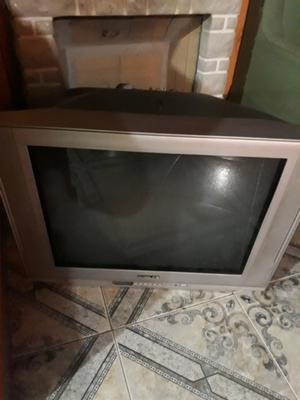 Television noblex 29p