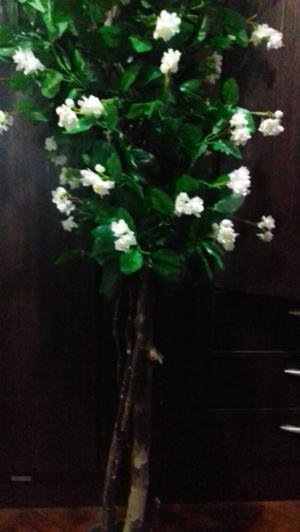 Árbol con flor blanca