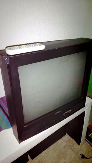 Televisor Tophouse 21 pulgadas