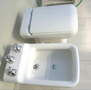 Vendo inodoro y bidet
