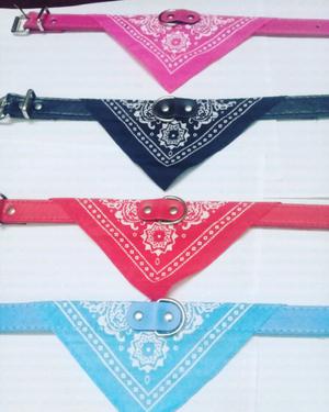 Collares para perros y gatos