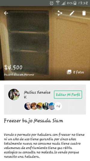 Frezzer siam bajo mesada