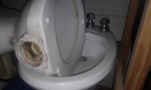 Vendo inodoro +bidet con grifería