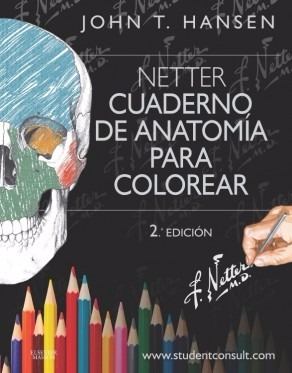 Hansen - Netter - Cuaderno De Anatomía Para Colorear - 2º