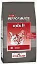 royal canin performance gatos adultos x 7,5kg $655