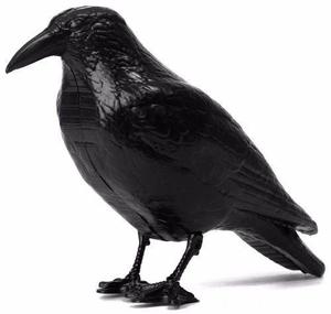 Ahuyenta Espanta Palomas Raven El Cuervo Negro