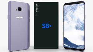 Samsung S8 Plus Orchid Gray