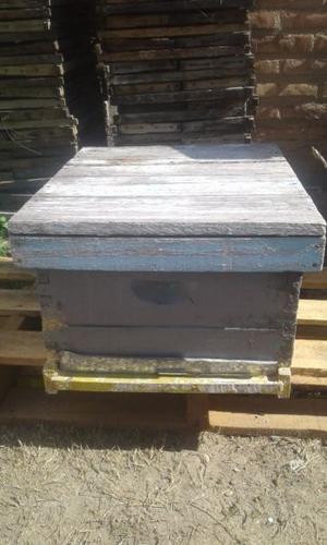 Vendo camaras de cria con abejas