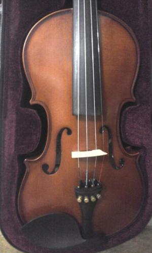 Violín STRADELLA impecable