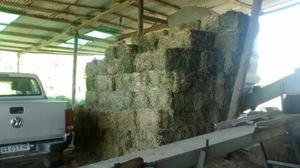 Fardos de alfalfa de Santiago del Estero en Caba