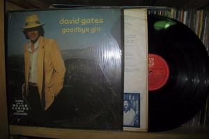 David Gates (Bread) ‎– Goodbye Girl - Vinyl ARG