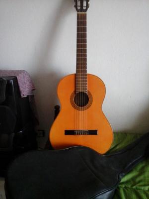 Guitarra y funda