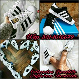 Adidas Super Star 100% Originales