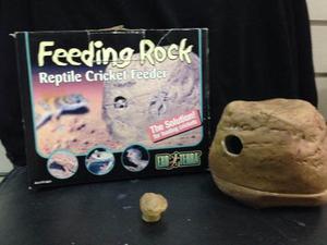 Alimentador De Grillos Para Reptiles Exo Terra