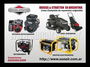 Briggs & Stratton en Argentina Generadores, Motores,