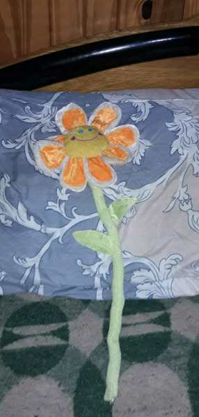 Hermosa flor para niña