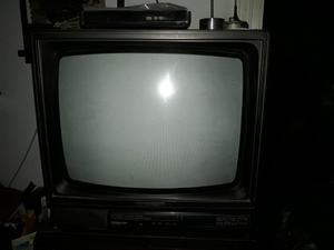 Televisor 21' Grunding