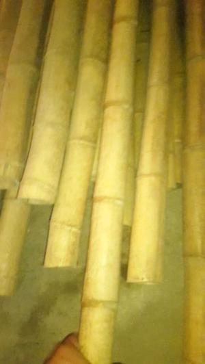Cañas de bambu