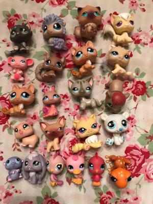 Littlest pet shop