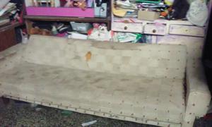 Sofá cama $800
