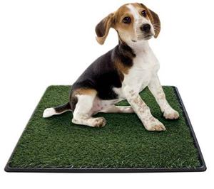 Alfombra Sanitaria De Pasto Dogs Stuff Para Perros Y Gatos