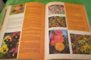 libro gardening in colour +F.PERRI+perfect