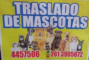 TRASLADO DE MASCOTAS ¡!!!