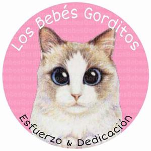 Donación $200 Los Bebés Gorditos