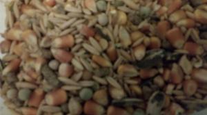 Mezcla de semillas para Hamsters y jerbos