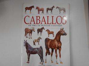 Caballos - De Tiro, De Monta Y Salvajes - - Esposito, Maria