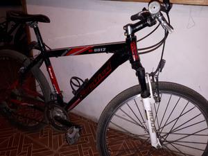 Bicicleta Firebird m-