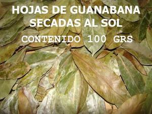 Hojas De Guanabana O Graviola 100% Puras Secadas Al Sol 100g