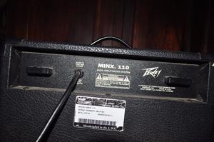 Peavey Minx 110 Amplificador de Bajo Y Guitarra (35w)