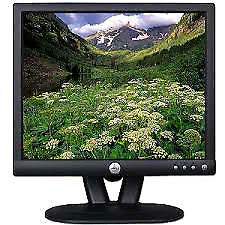 Monitor 17" dell con garantia. Es un local mod e173