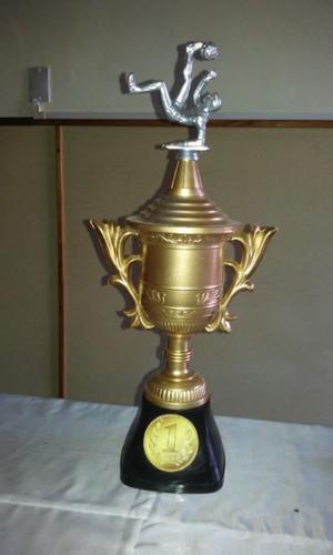 trofeo de 43 cm de alto