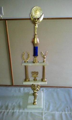 trofeo de ajedrez de 56 cm de alto